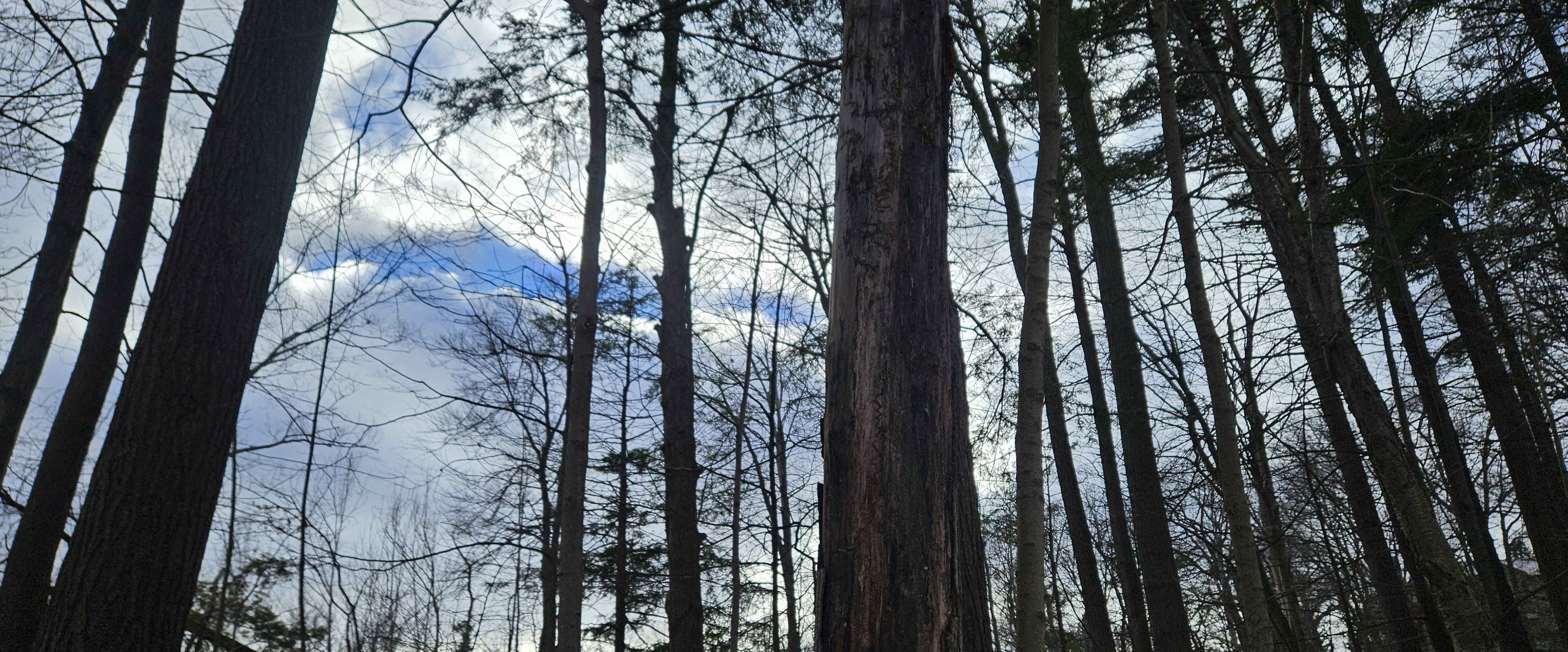 Weir Walking Challenge banner