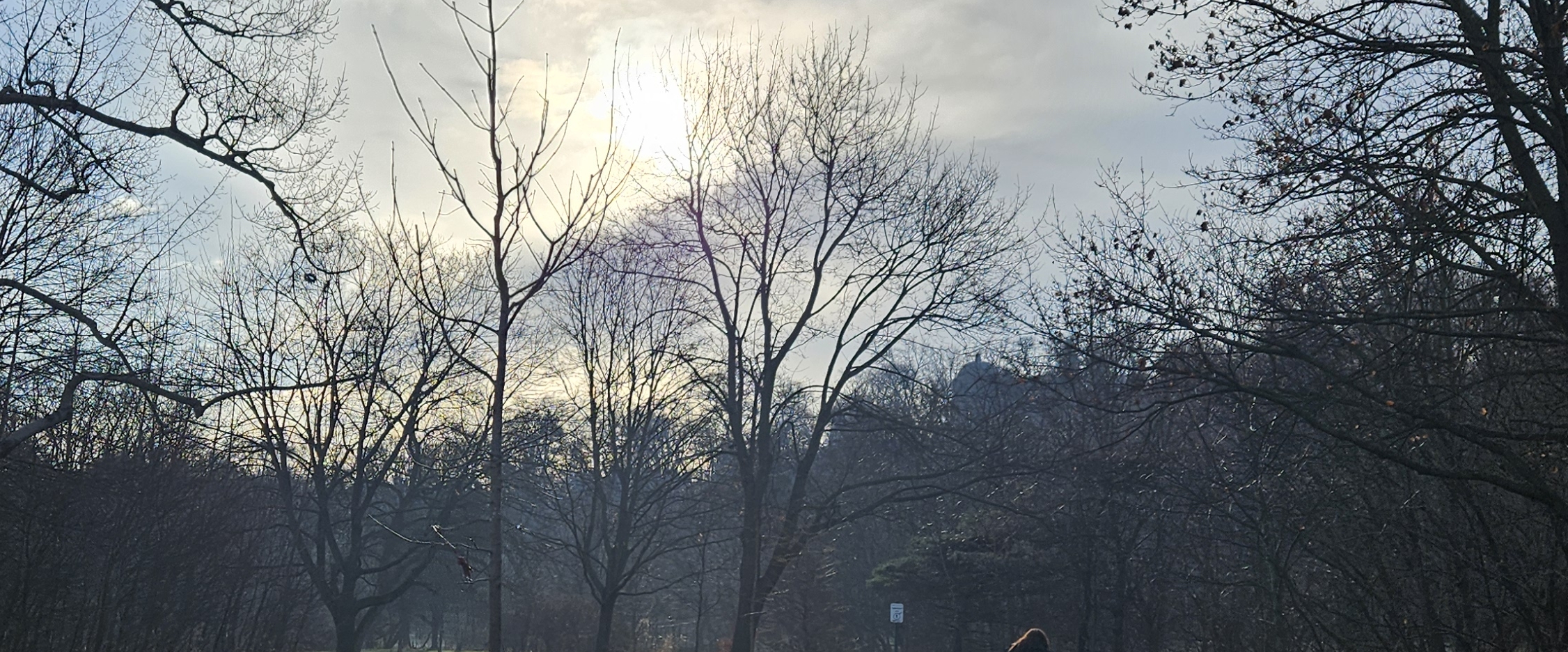 Paso a Pasito Safran 2025 banner