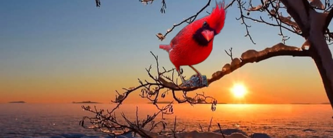 🤗STEPS BY STEPS🤗 banner