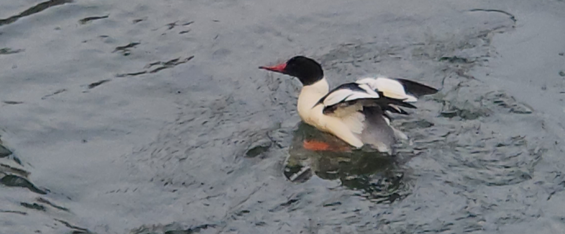 💪GETTING STRONG💪 banner