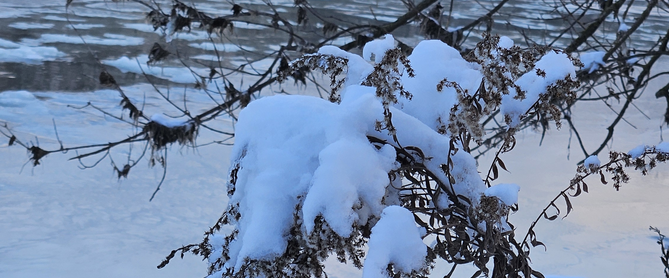 🇿🇲ZAMBIA 🇿🇲 PACERS 🇿🇲 banner
