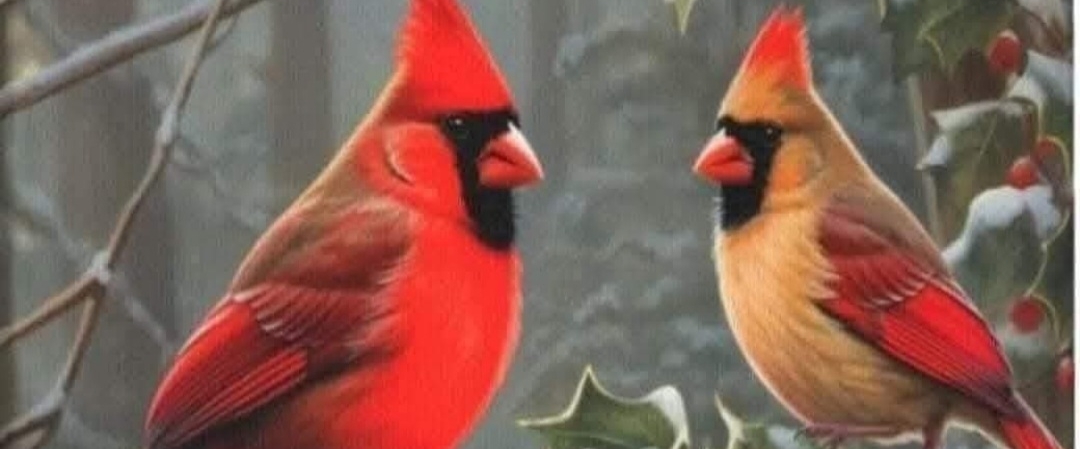 💓НСИС шагает по планете💓 banner