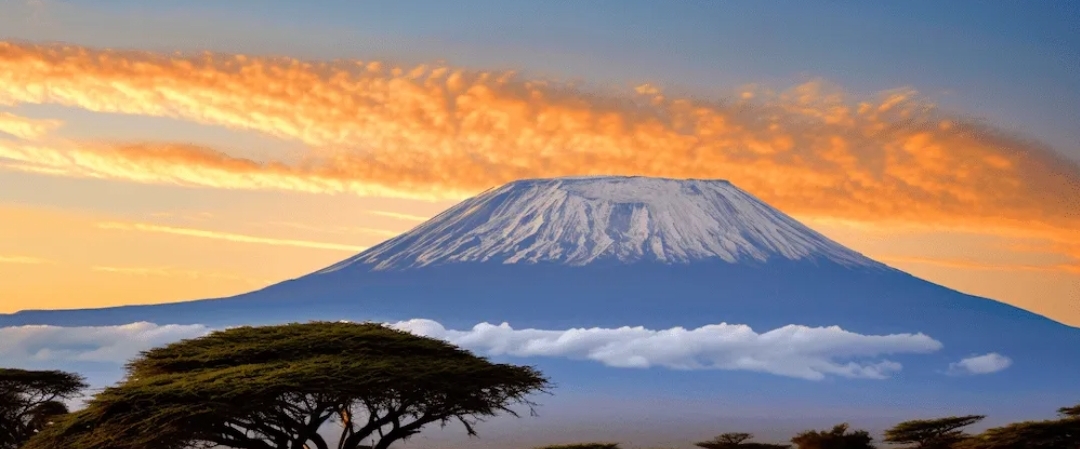 🇹🇿 TANZANIA 🇹🇿 PACERS 🇹🇿 banner