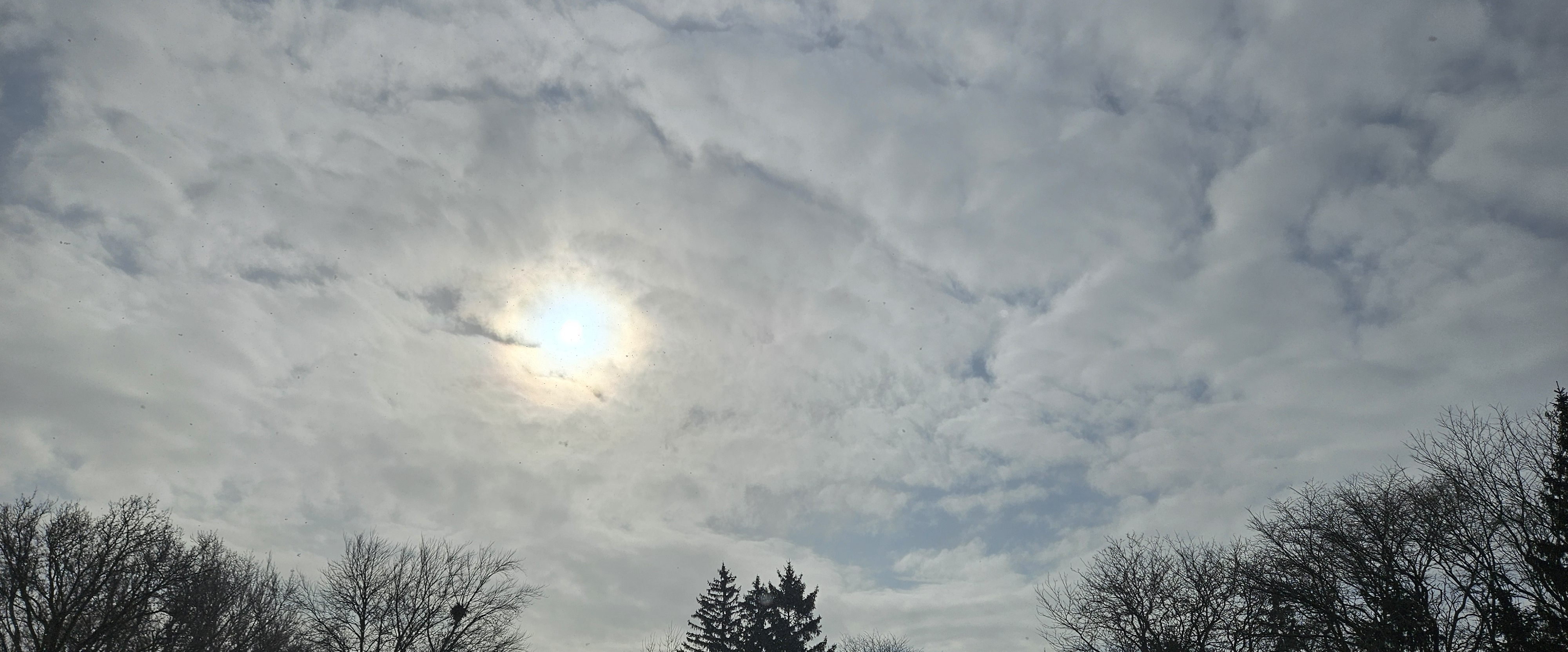 🌷WAITING FOR SPRING🌷 banner