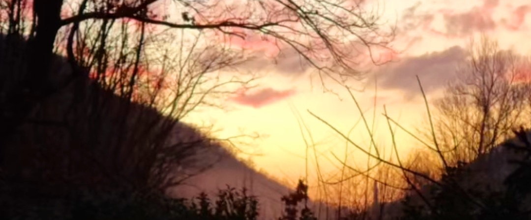 🐺Wolves  walkers🐺 banner