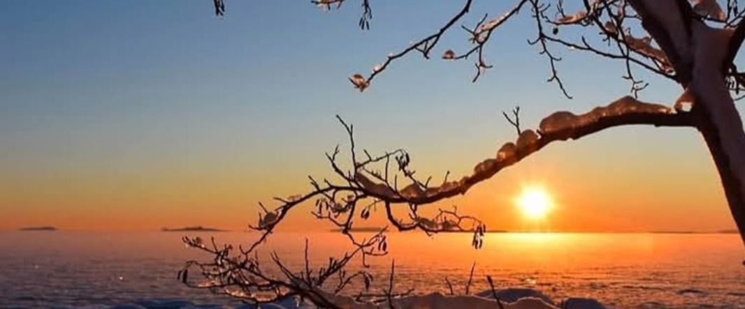 Чибчик - живчик banner