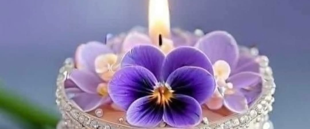 🌸AWESOME PACERS🌸 banner