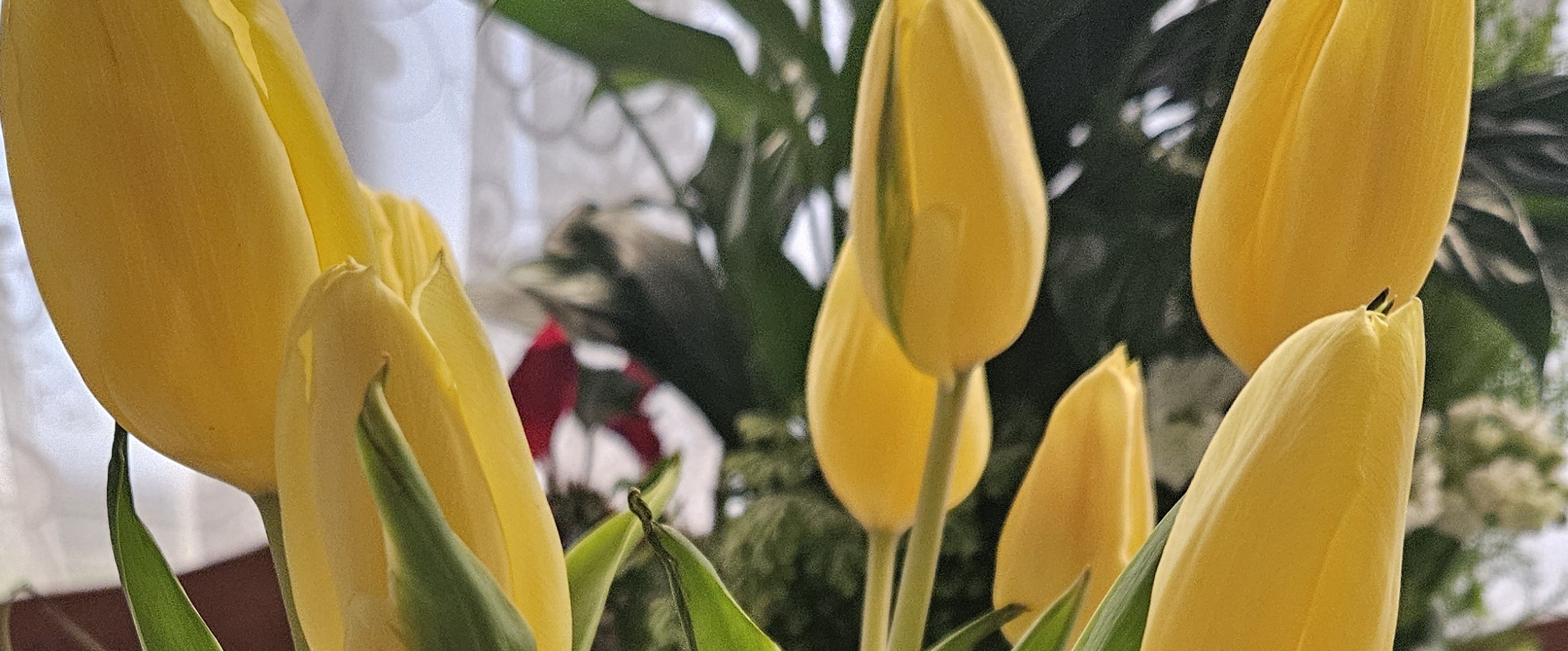 WALKING COMMUNITY banner