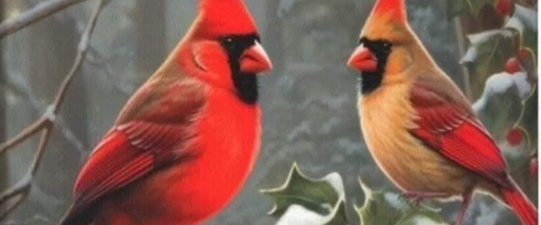 👌Running is awesome👌 banner