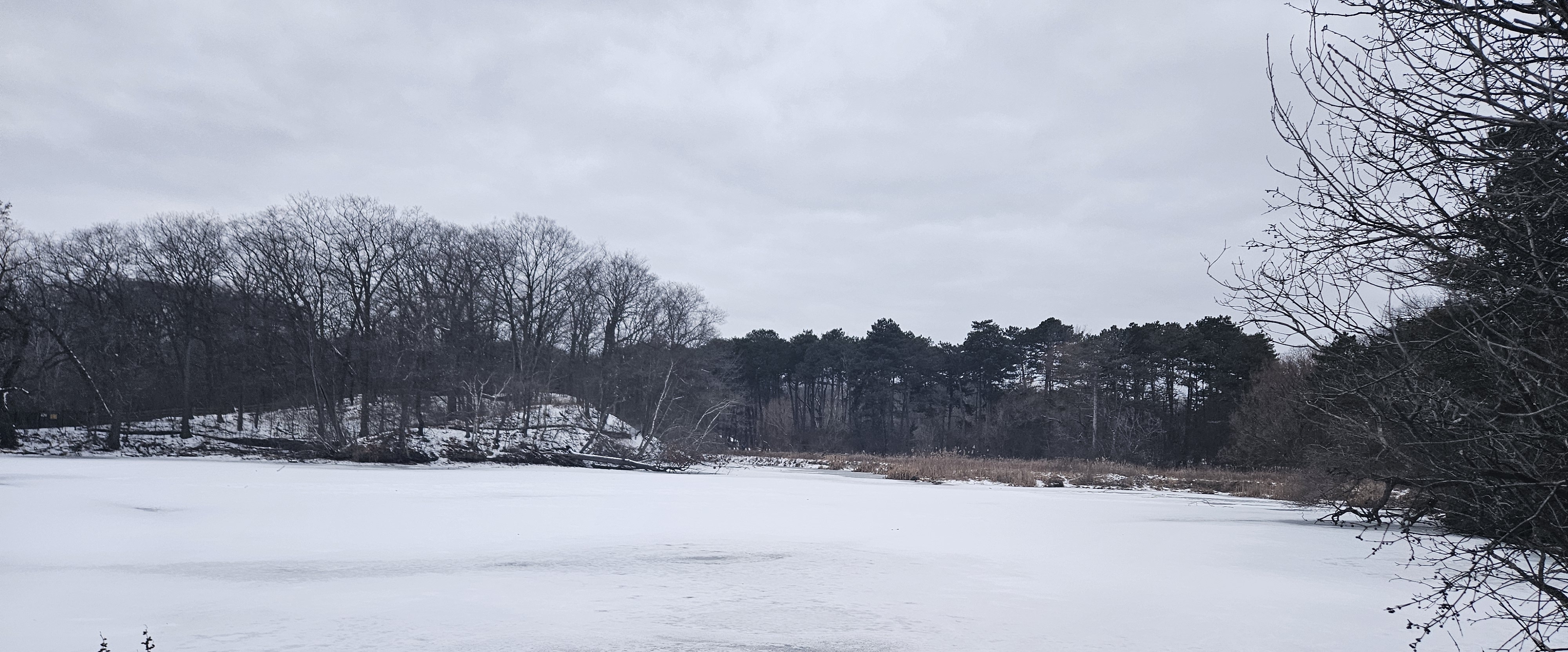 ile patron walkers banner