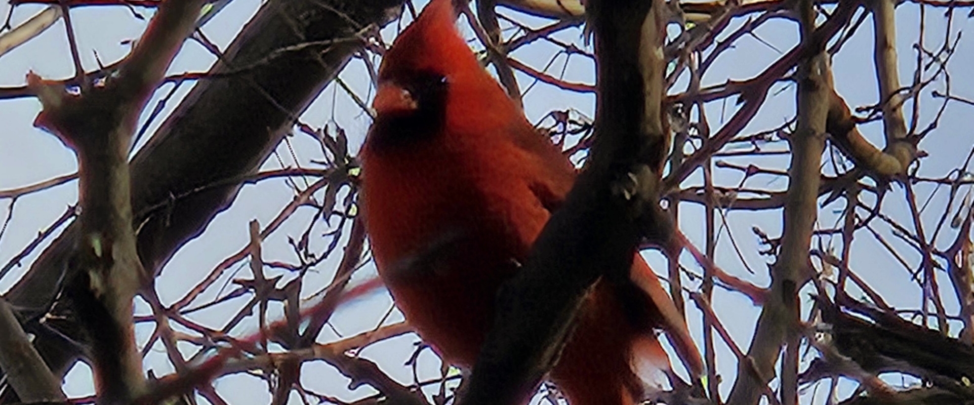 💕💖OMNIA TEAM 💖💕 banner