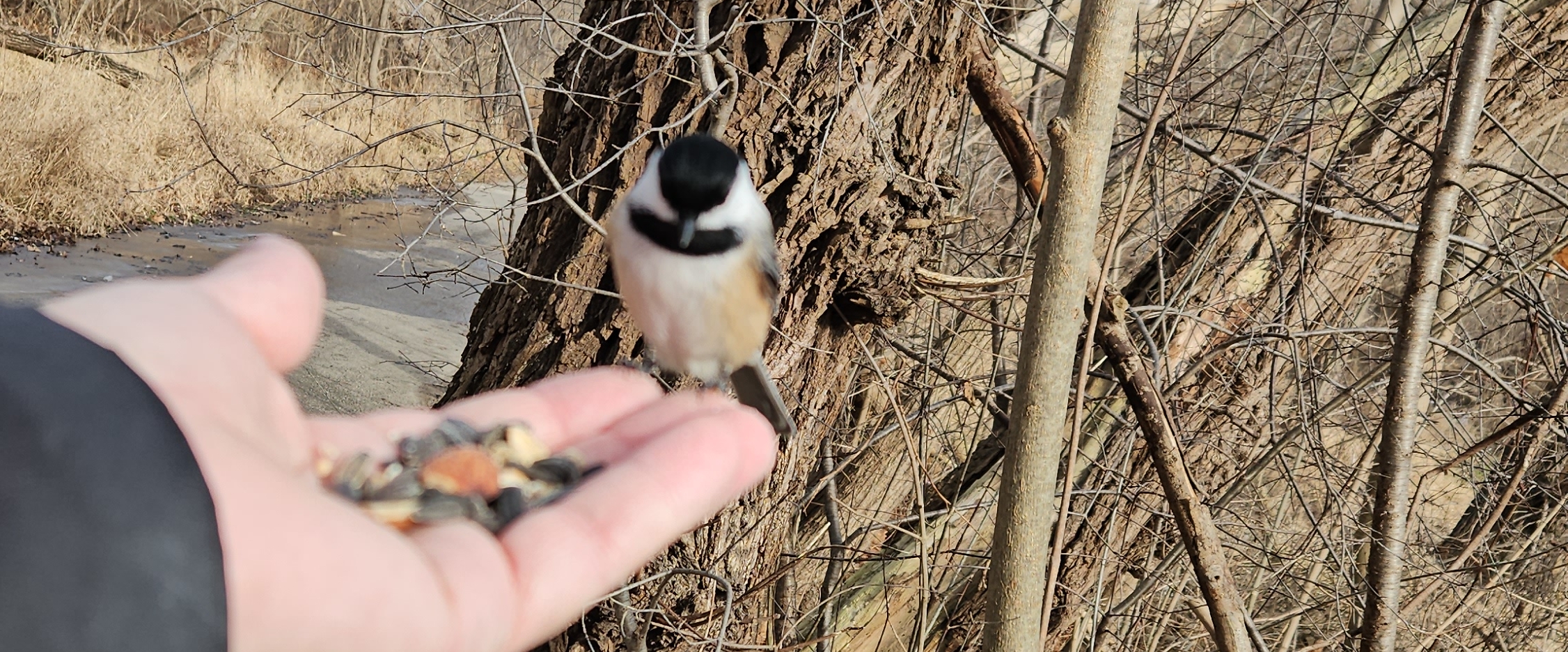 🌏DPM 2025🌏 banner