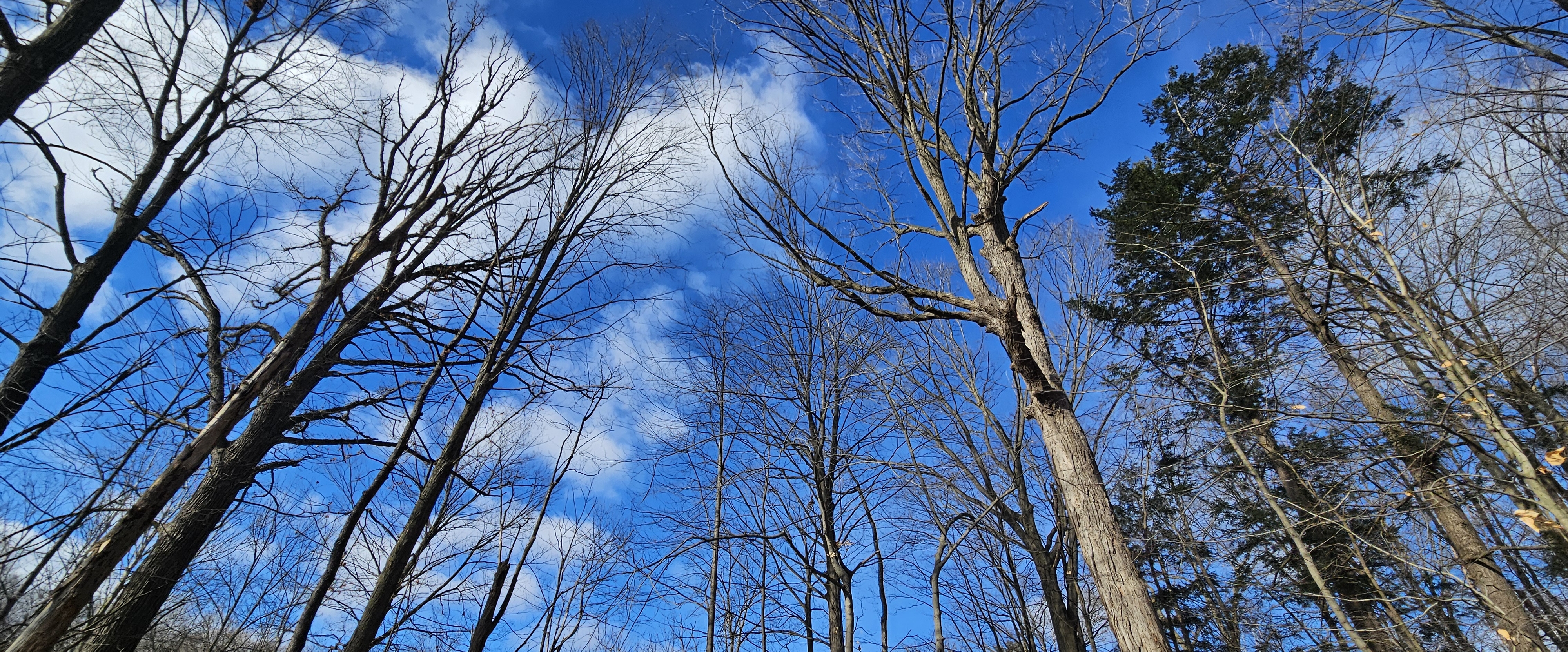 ❤️ISOS Walking together ❤️ banner