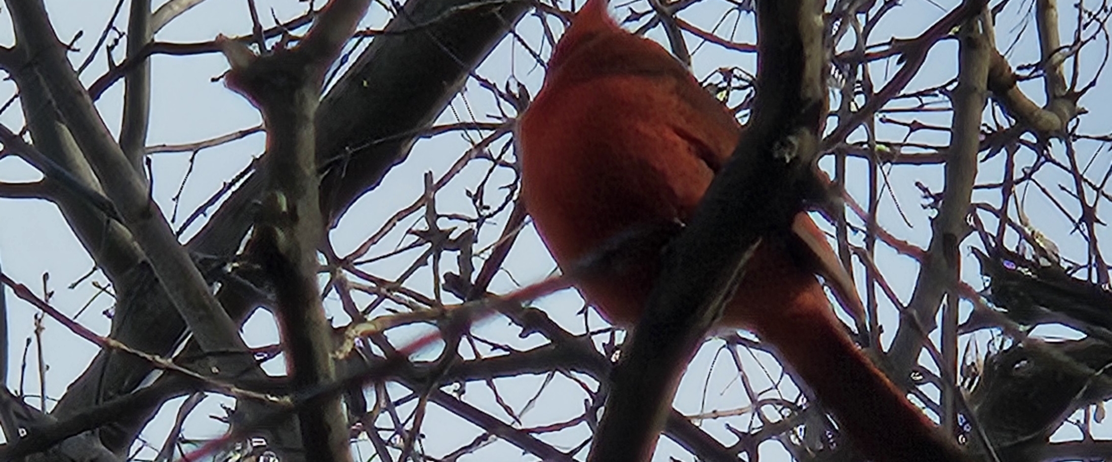 (사)대한산업보건협회 경북 banner