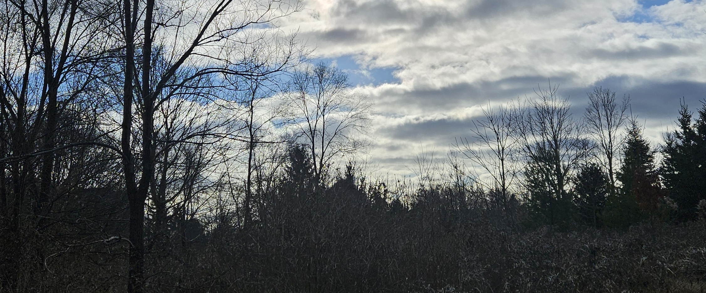 ♥️Steps for Health ♥️ banner