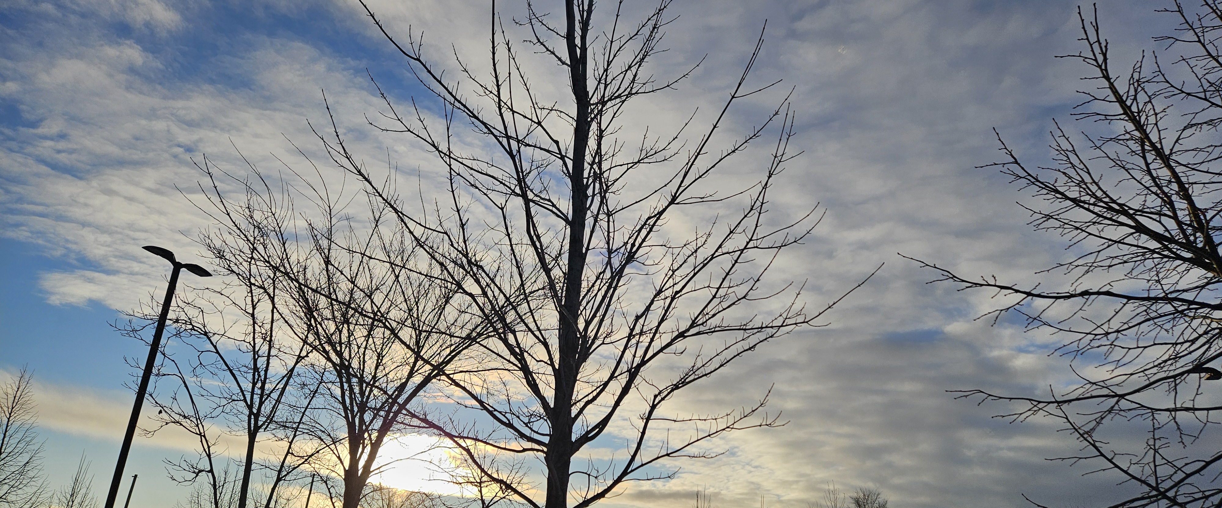 🌇SUNSETS 🌇 banner