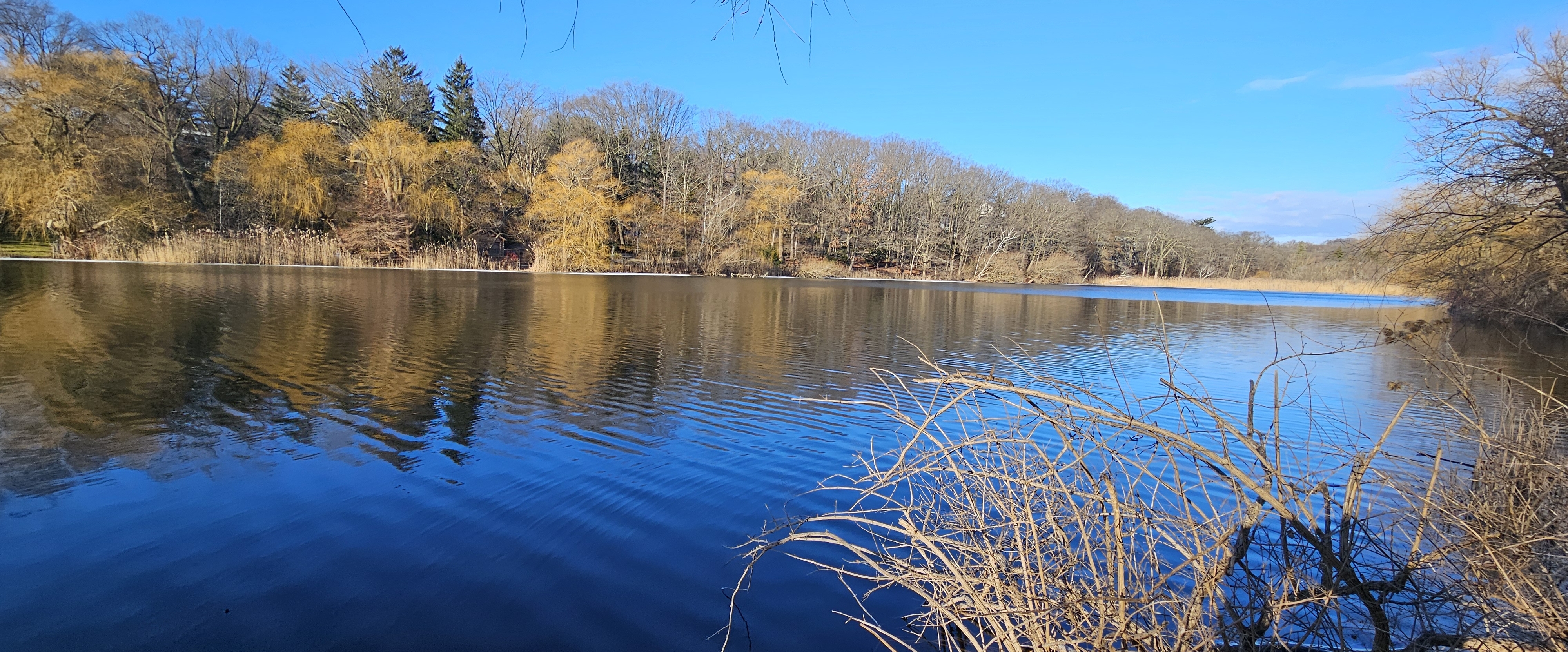 Vijayanagar Pacers banner