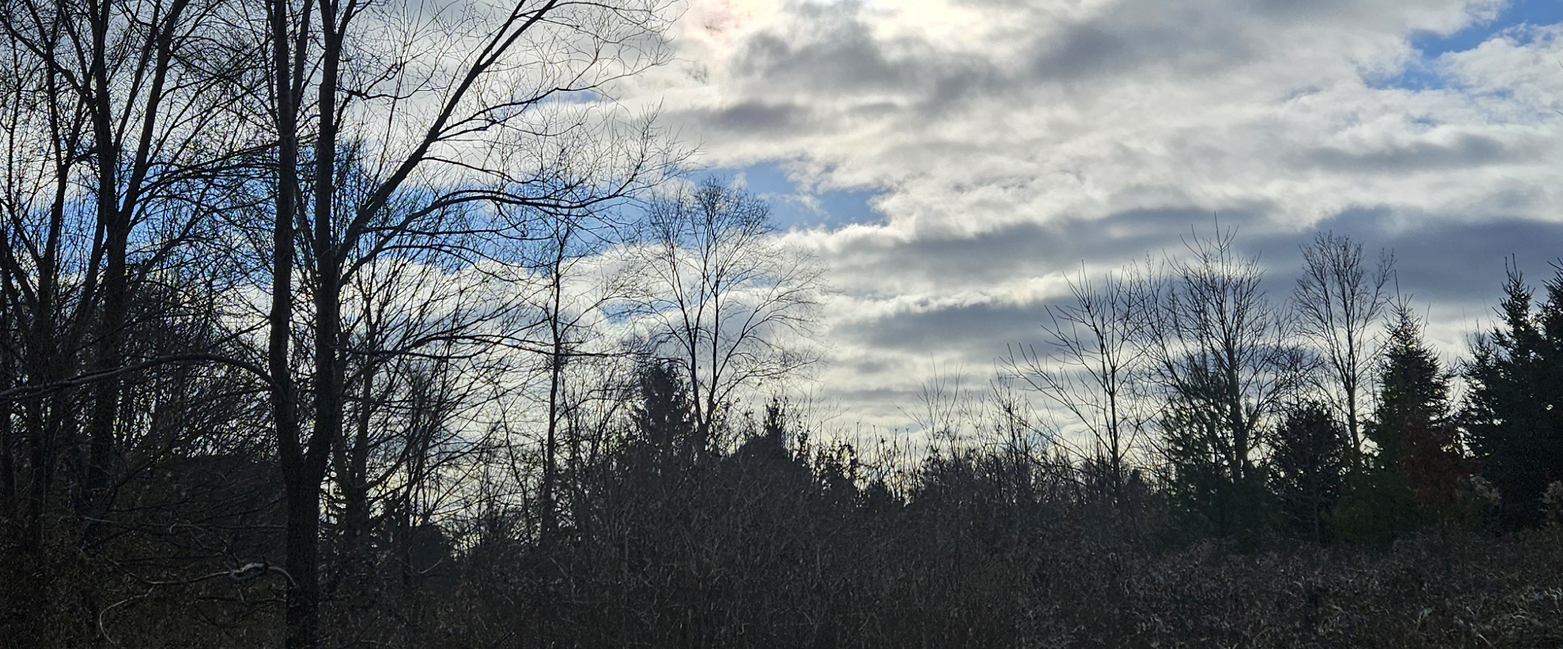 🏞 OUTDOORS WALKS 🏞 banner