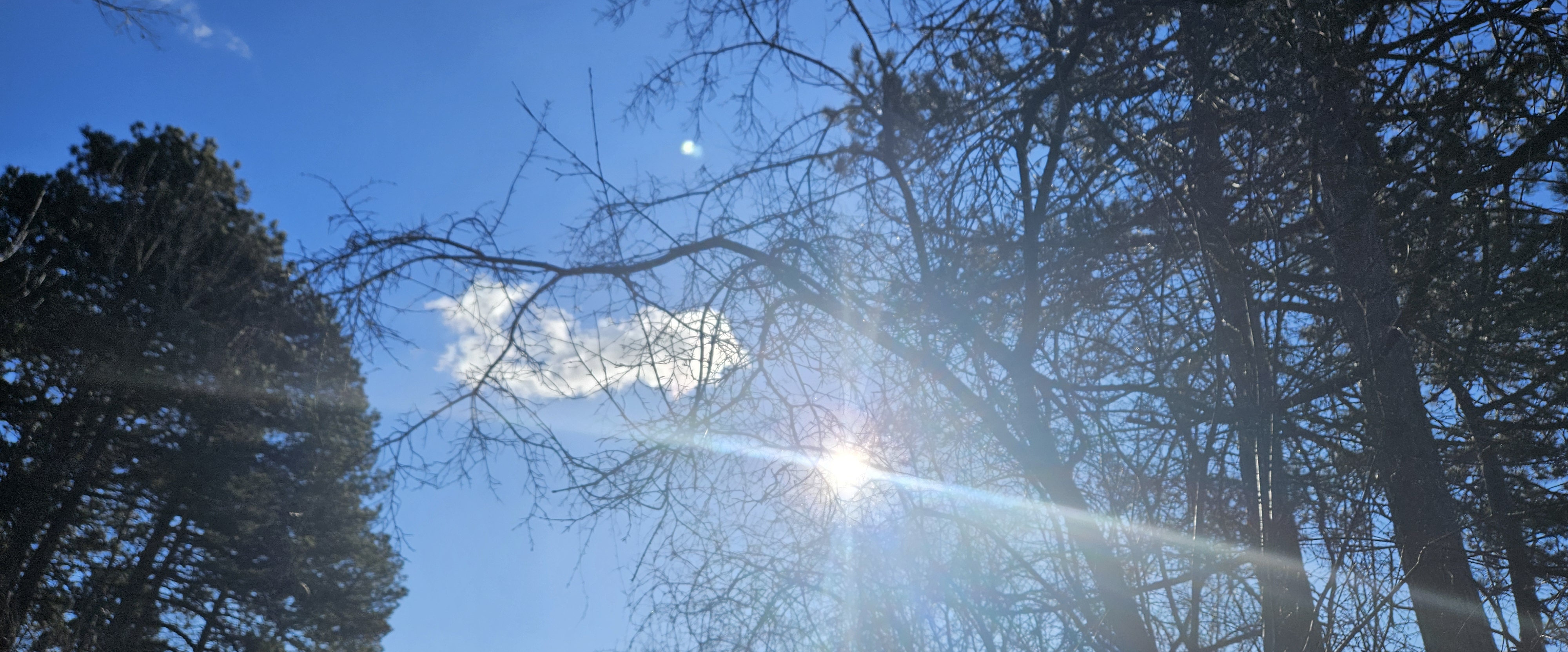 Walk🏃🏾♀️Challenge🏆World🕊️ banner