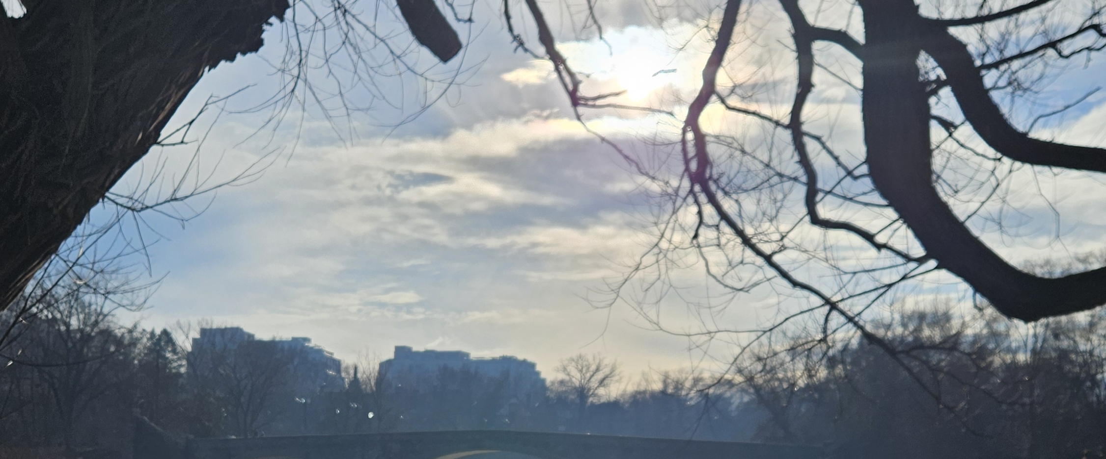 🎆🎊2025 STEPS 🎊🎆 banner