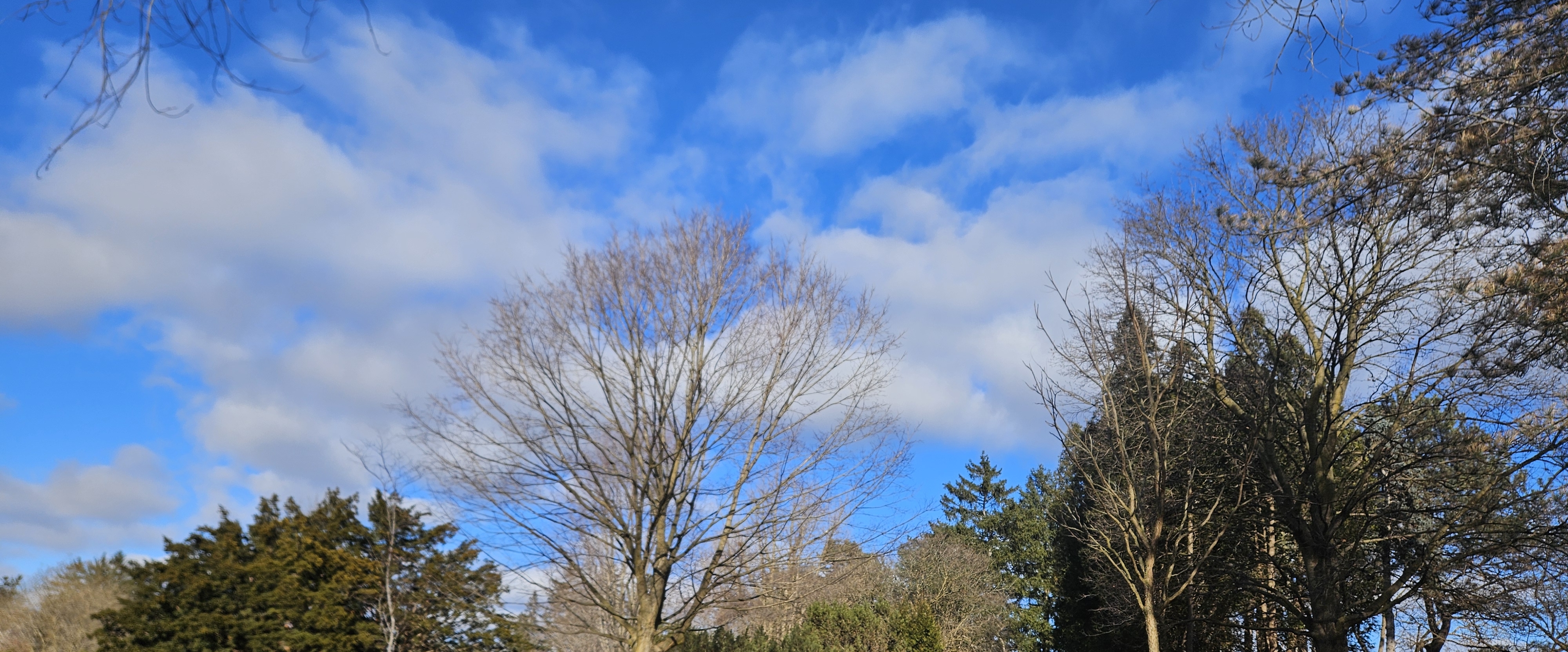 🌄BEAUTIFUL NATURE 🌄 banner