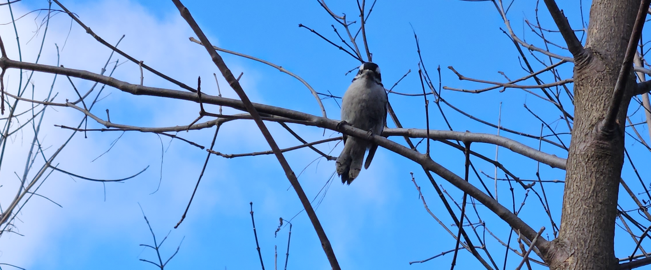💛LET'S RUN OR WALK 💛 banner