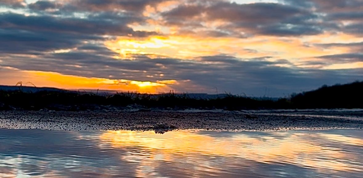 𝗟𝗼𝘃𝗲 💕 to 𝗠𝗼𝘃𝗲 🐾 banner