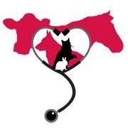 PVC step challenge. logo