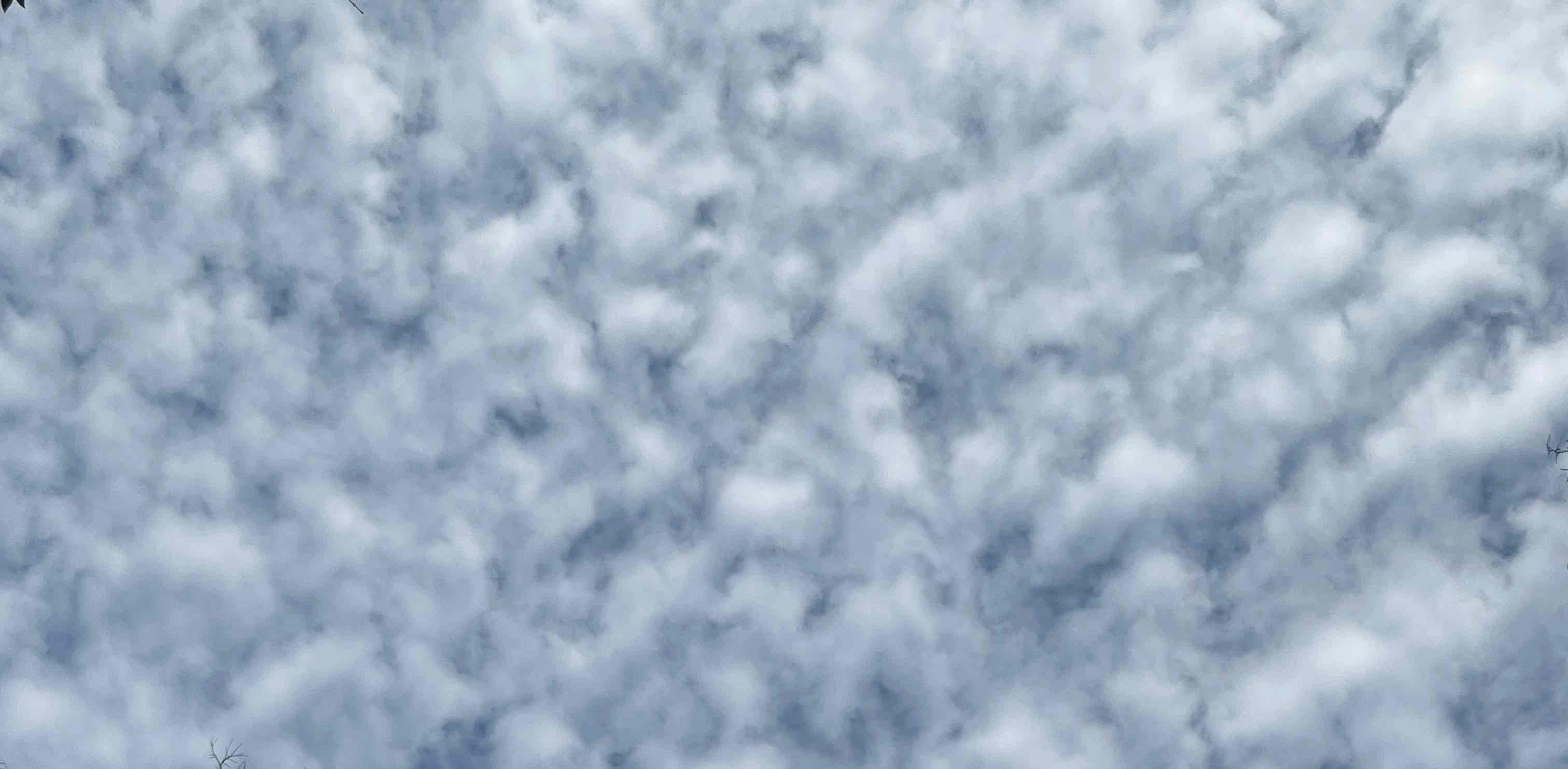 小筑健身打卡 banner