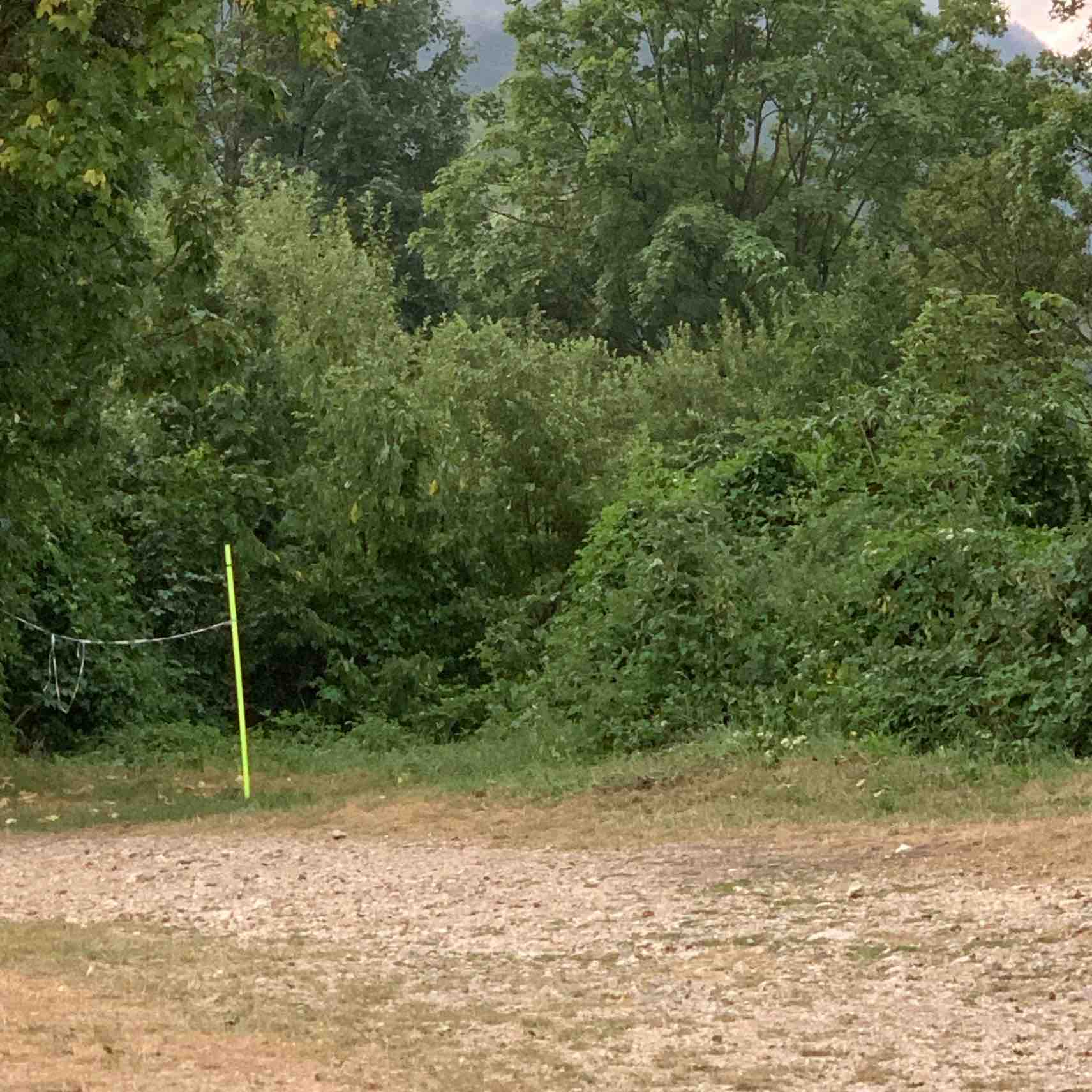 Il bello delle camminate logo