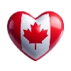 MIT Canada profile