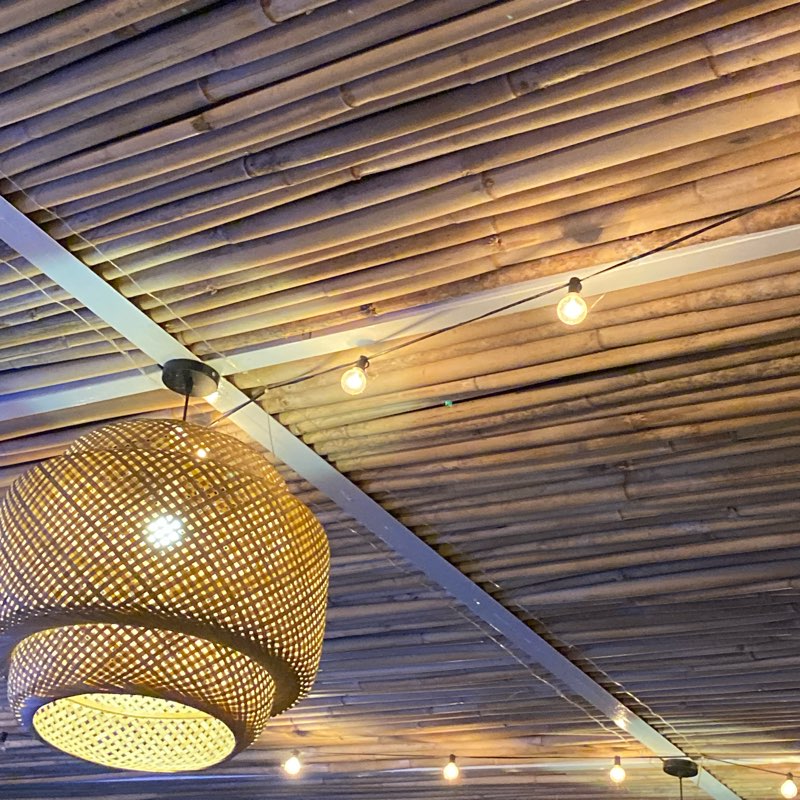 HCC Young Pro Fitness logo