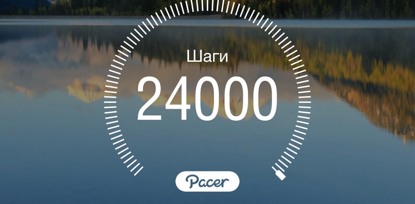 Чечня—Шагаем весело 🚶🏻‍♀️‍➡️ banner