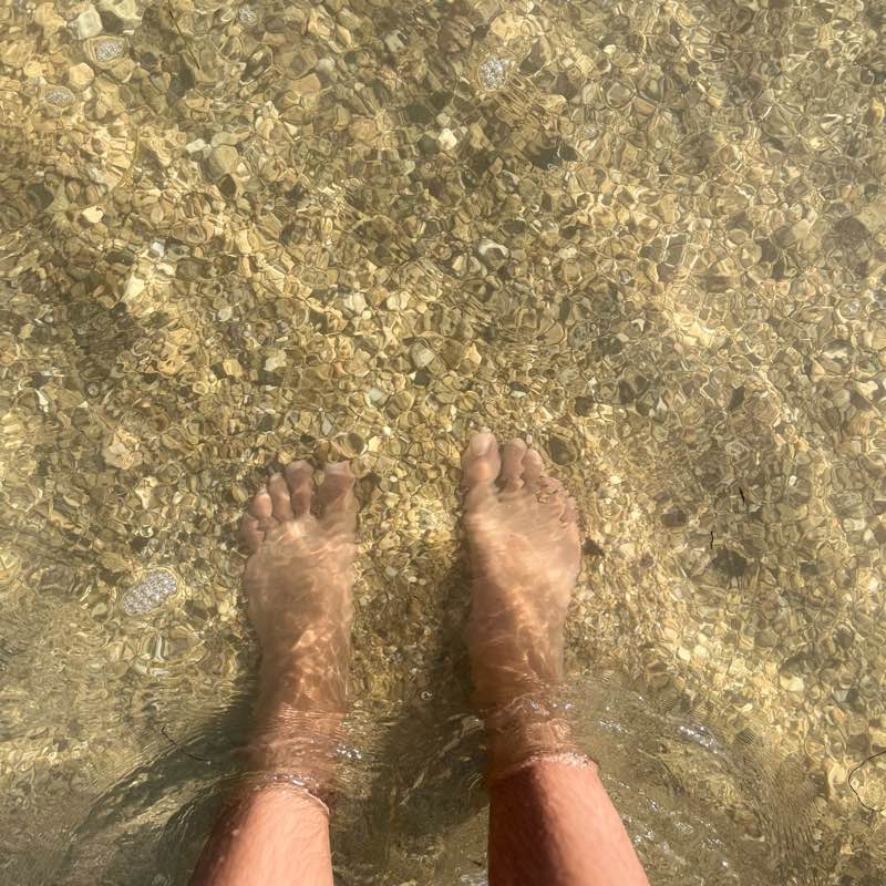 8000 step challenge logo