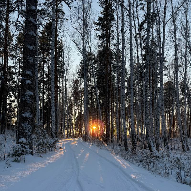 2025Бродяги365 logo