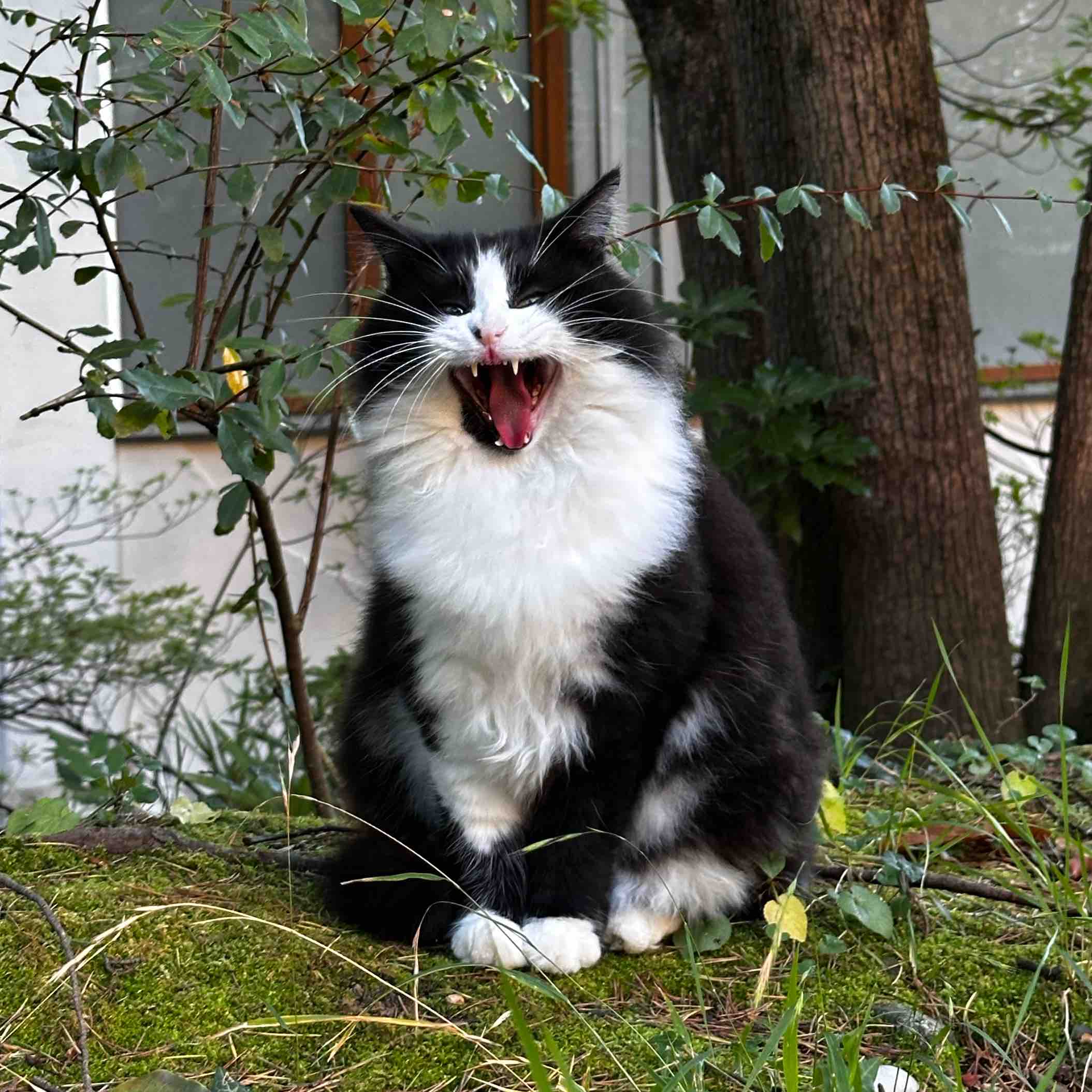 Шаги за гиги ⚡️ logo