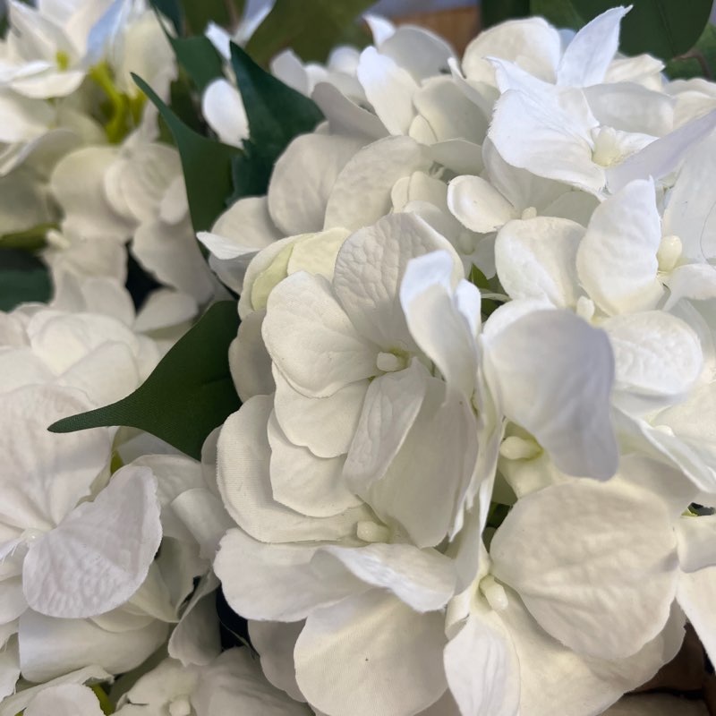 Kirkpatrick gals logo