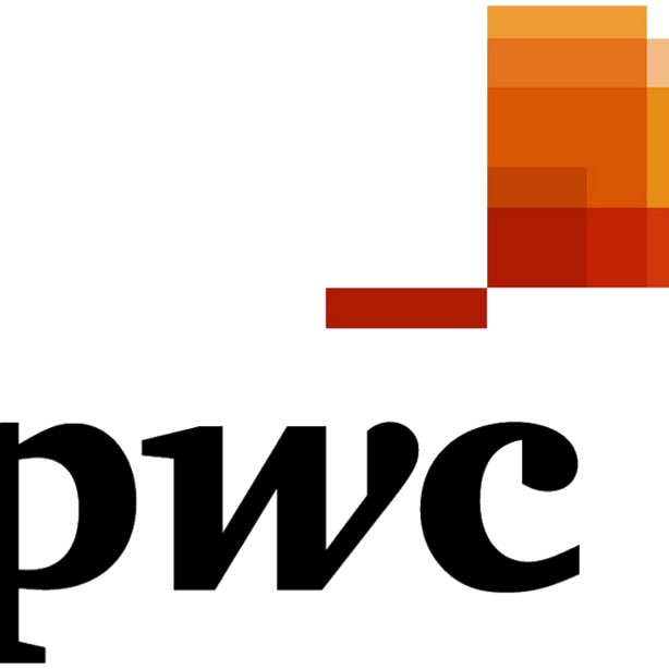 FS - FIT Team 1 logo