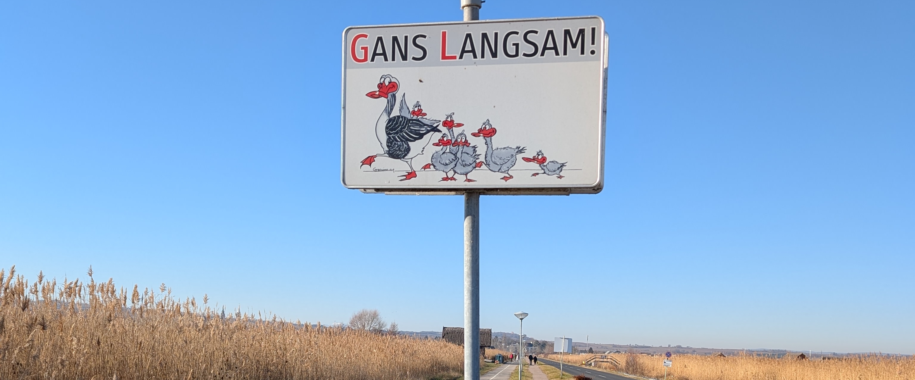 🌞🍇Burgenland Aktiv ❤️💛🇦🇹 banner