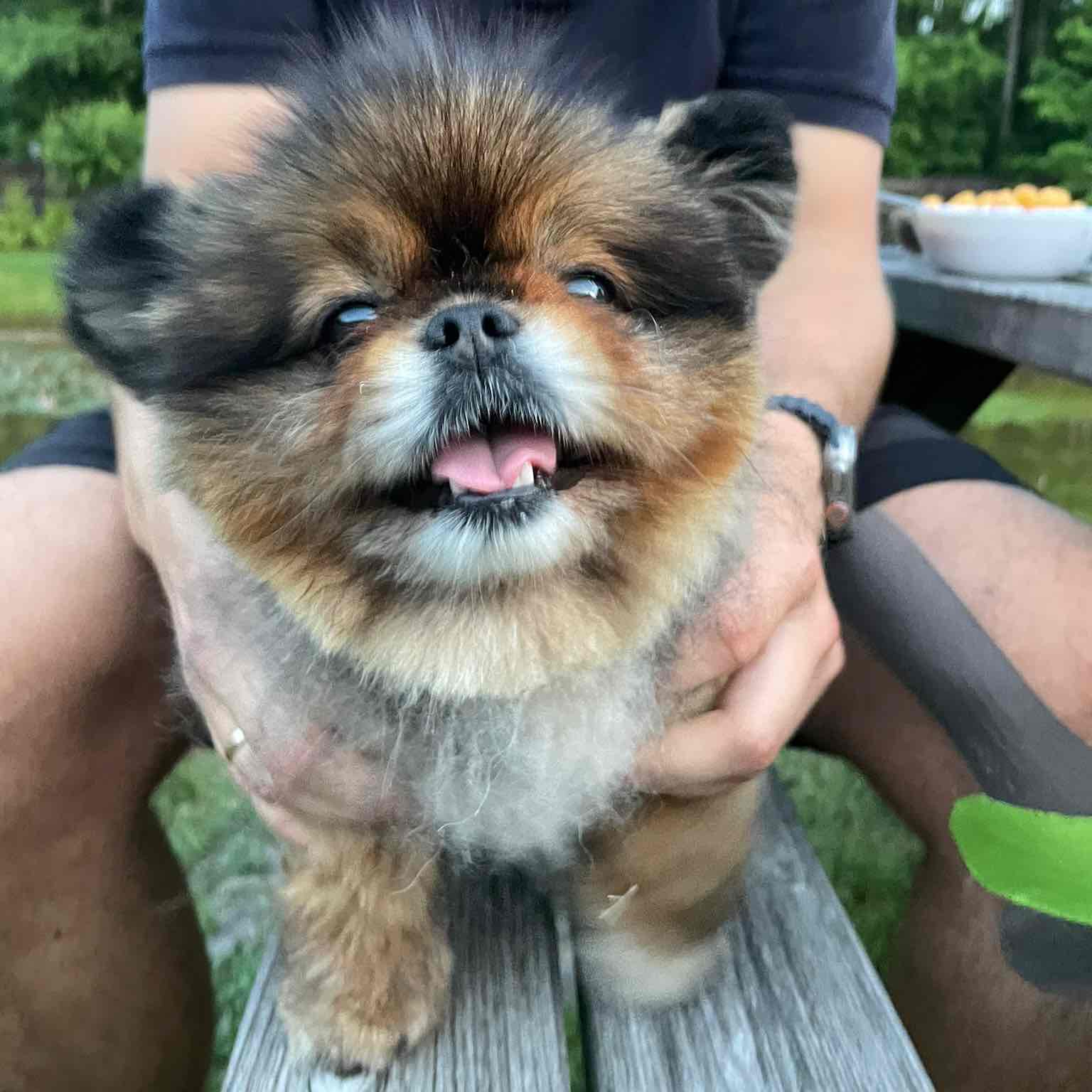 BestvibeCompany logo