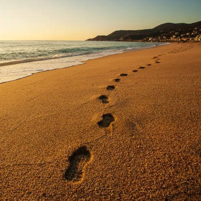 Walking Wizards n Witches ✨✨ logo