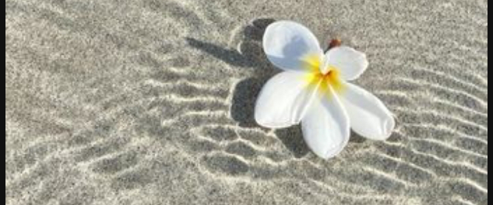 Glow Getters💕 banner