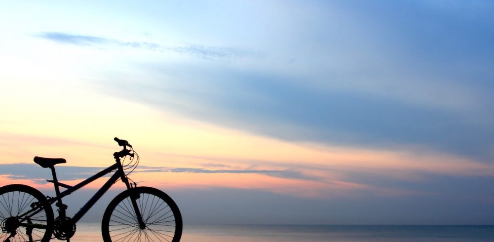 🚲🌷 BIKING U.S.A. 🌷🚲 banner