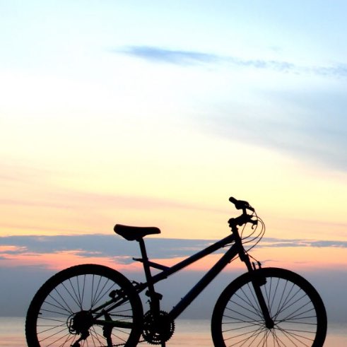 🚲🌷 BIKING U.S.A. 🌷🚲 logo