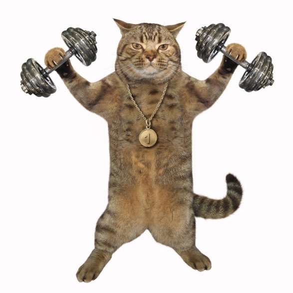 Wedding Fitness Challenge logo