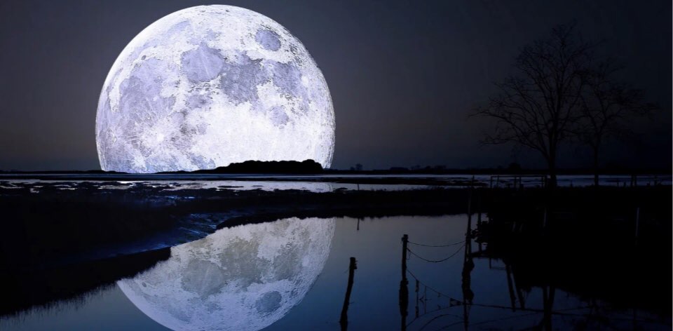 The reverse side of the Moon banner