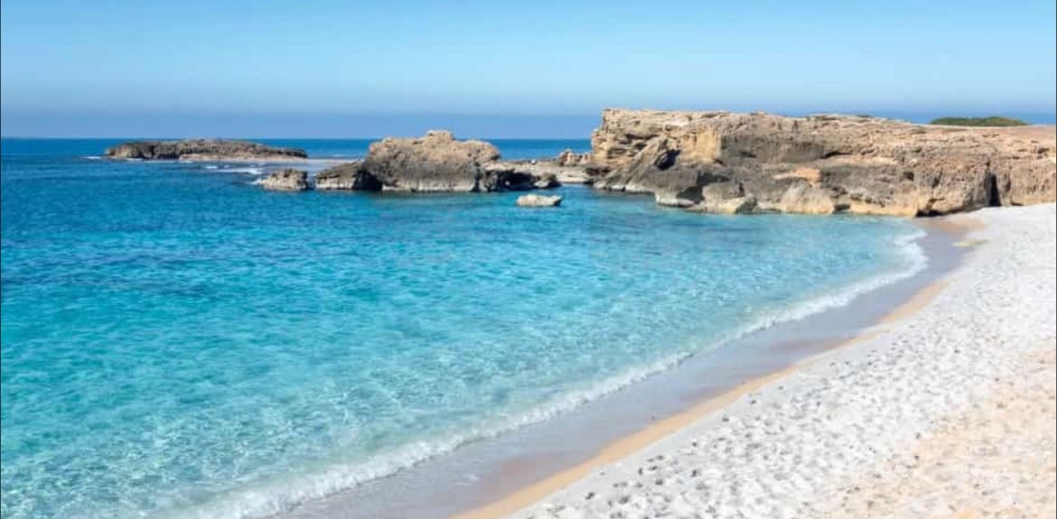 Amici di Chicco Sardu😁 banner