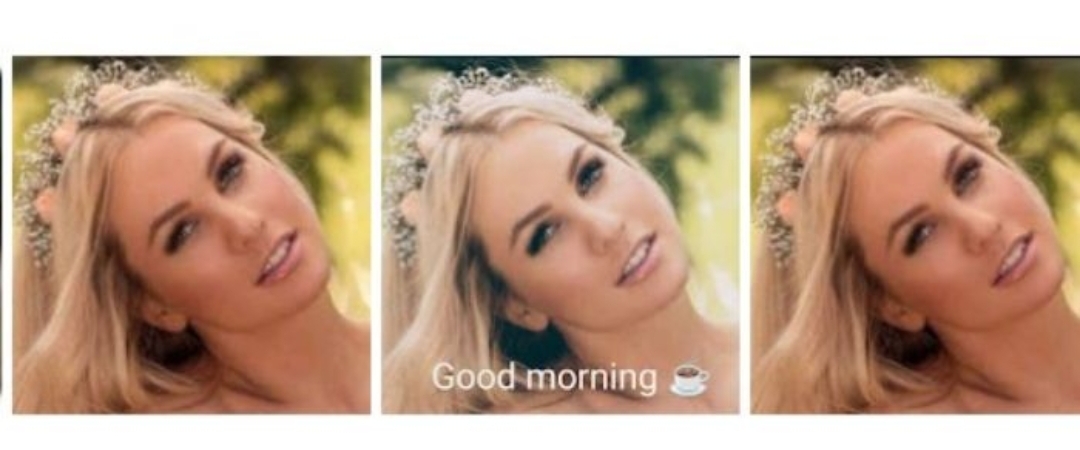 The Pacer Run Group ❤️🌹❤💙💚❤ banner