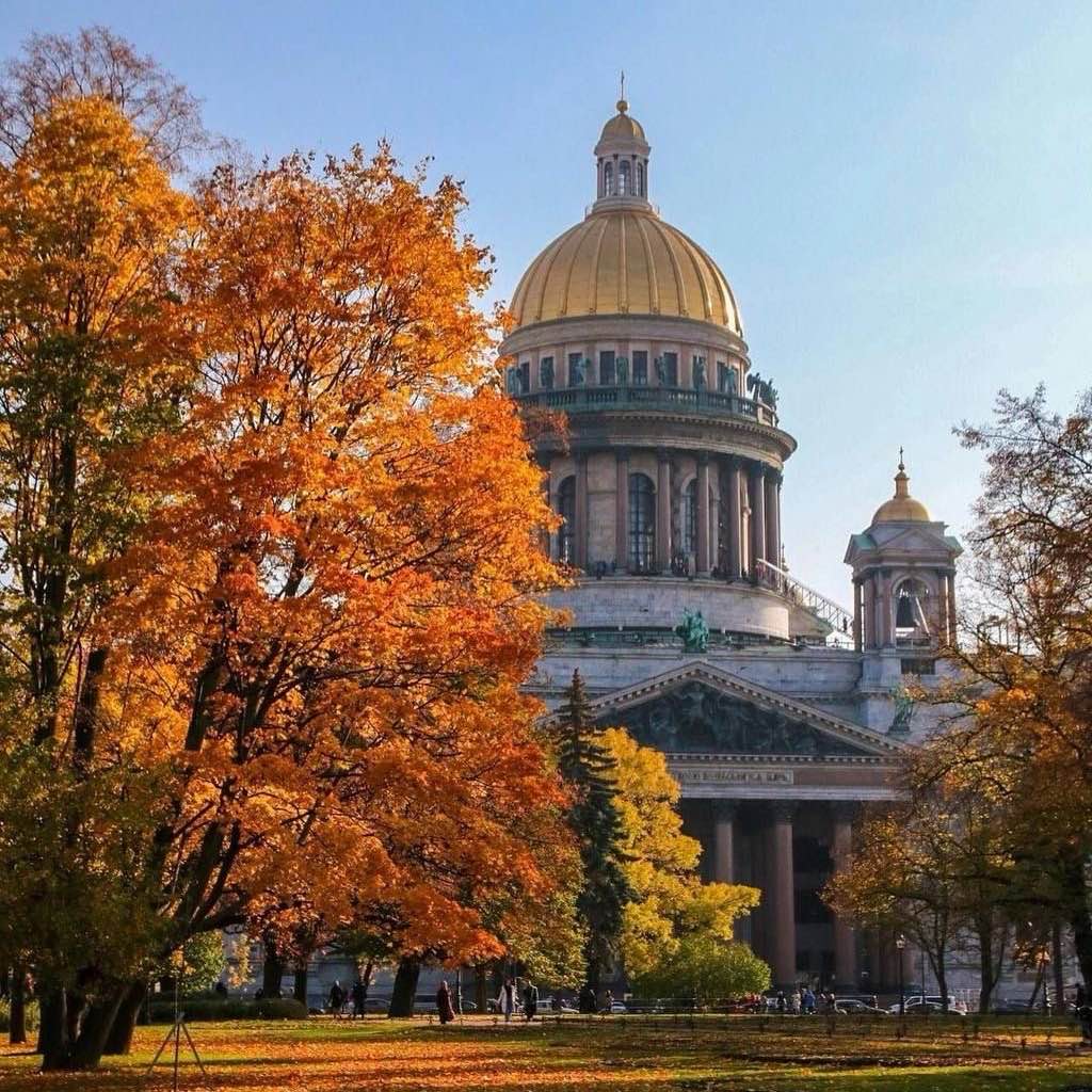 Мы Вместе logo