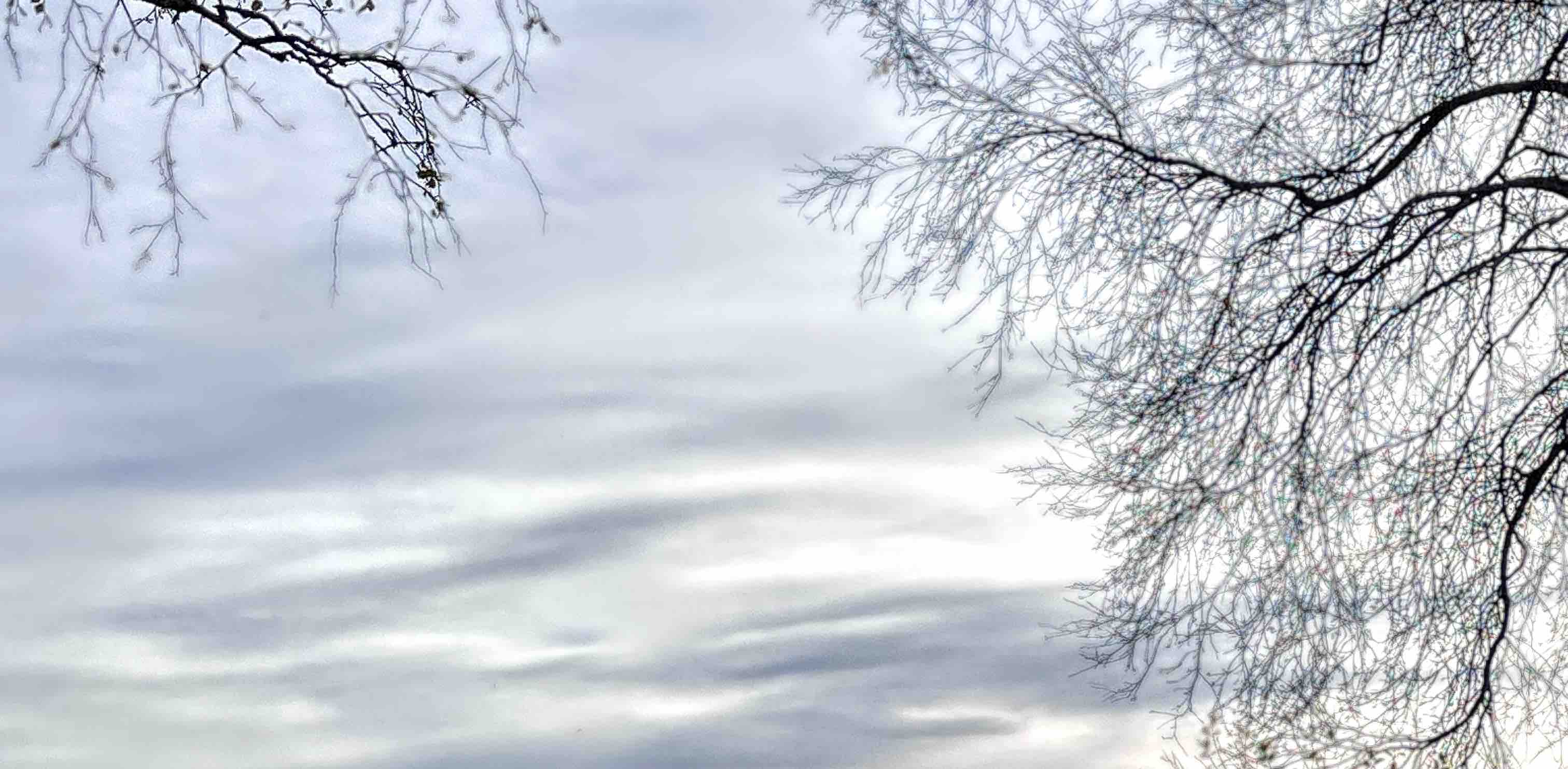 Autumn’s lovely colors banner